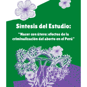 Síntesis del Estudio: "Nacer con útero: efectos de la criminalización del aborto en el Perú"