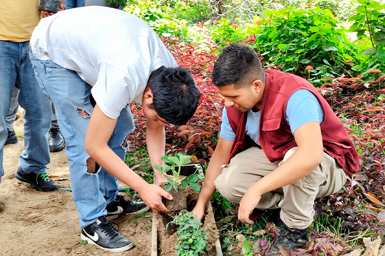 Niñas, Niños y adolescentes guardianes del medio ambiente en 02 comunidades de SAN JUAN DE LURIGANCHO. LIMA-PERÚ