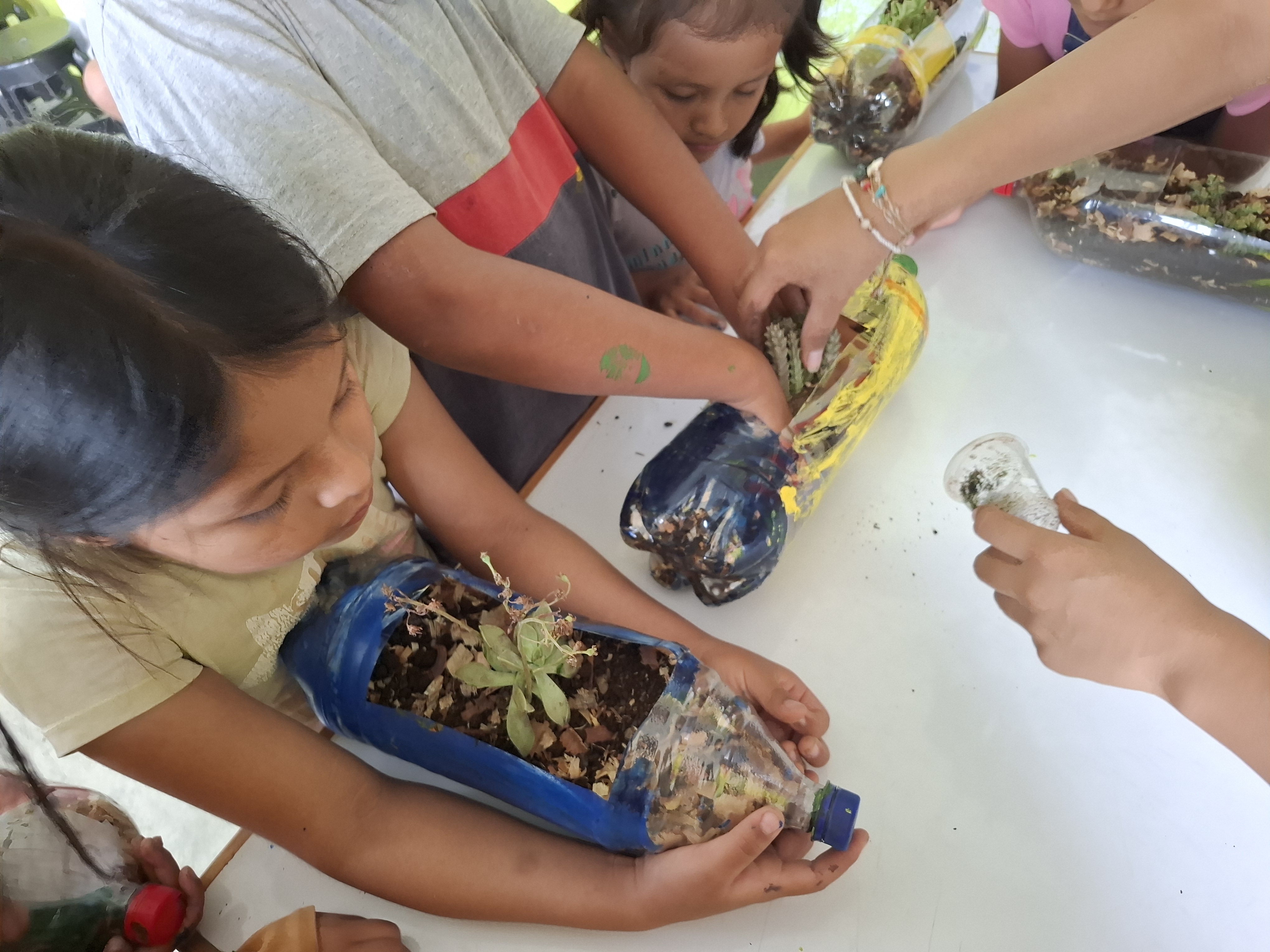 Raíces de vida: Familias cultivando la tierra ya la salud en dos comunidades de San Juan de Lurigancho