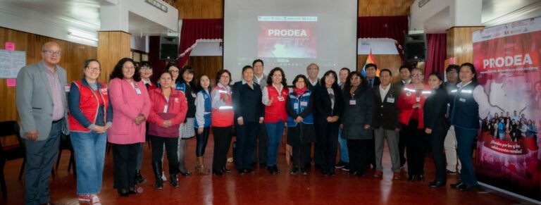 EL EQUIPO MULTISECTORIAL PRODEA SIGUE TRABAJANDO POR LAS Y LOS ADOLESCENTES CUSQUEÑOS